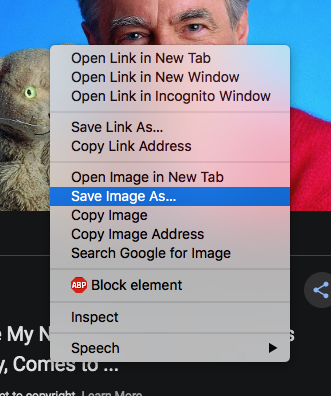 The context menu with the Save Image As prompt.