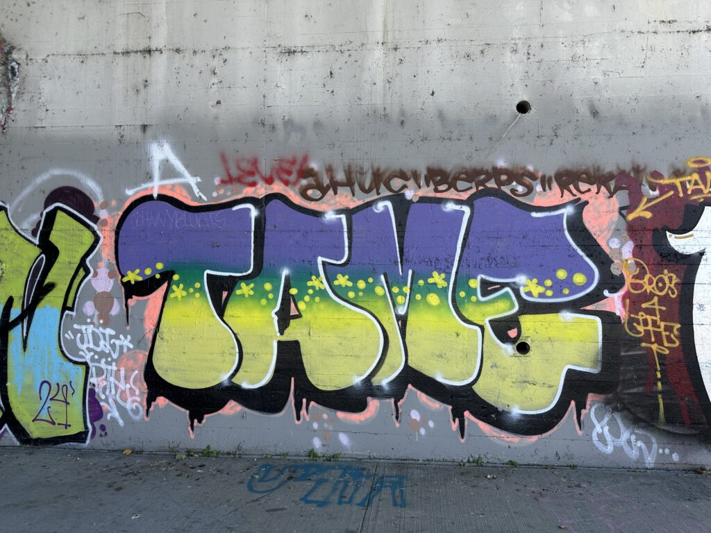 Graffiti tag: TAME Purple, Green, and Yellow letters