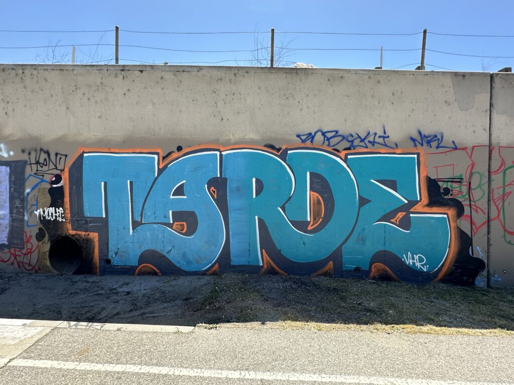 Graffiti tag: TARDE. Cyan, white, navy blue, orange